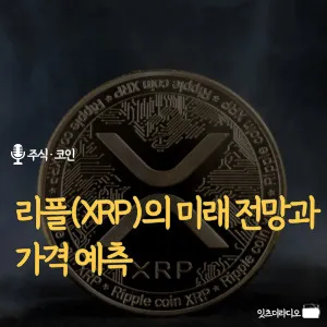 리플(XRP)의 미래 전망과 가격 예측