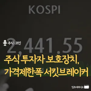 주식-투자자-보호장치-가격제한폭-서킷브레이커