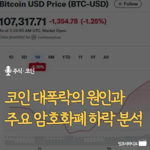 코인 대폭락의 원인과 주요 암호화폐 하락 분석