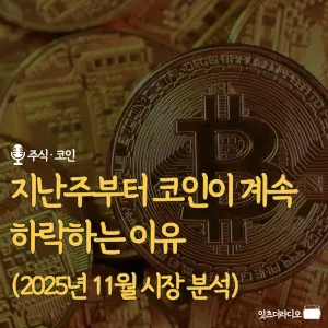 지난주부터 코인이 계속 하락하는 이유(2025년 11월 시장 분석)