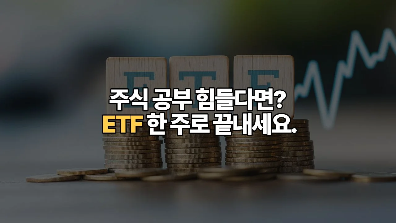 개별 종목이 무섭다면? ETF 위험은 줄이고 수익은 굳히는 분산 투자법